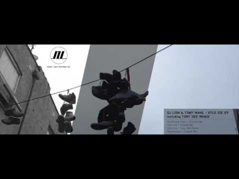 Dj Lion & Tomy Wahl - Xylo Ice - Tony Dee Remix - Night Light Records