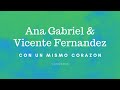 ANA GABRIEL & VICENTE FERNANDEZ - CON UN MISMO CORAZON (LETRA)