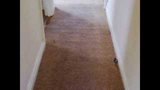 preview picture of video 'Peter Thomas Carpet Cleaning South Kensington - 0800 978 8257'