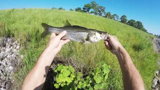 Exploring For Snook And Bass On A Bike