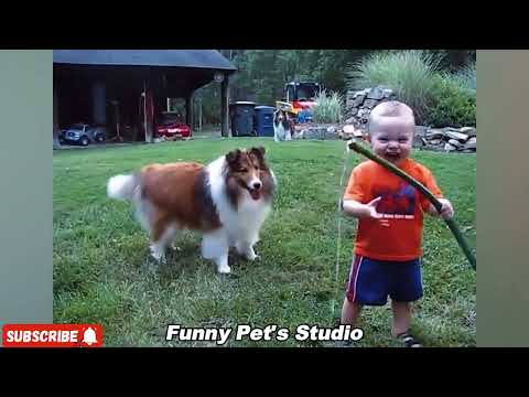 When your dog becomes the trusted nanny - Cute Moments Dog and Human