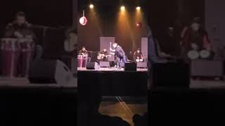 Alcorde flamenco (nina pastori)