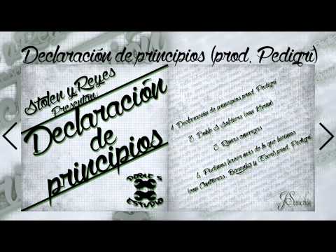 Declaracion de principios Prod Pedigrí