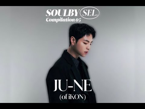 iKON's Junhoe reveals the all-English track 'Night Flight' in a collaboration with SOULBYSEL