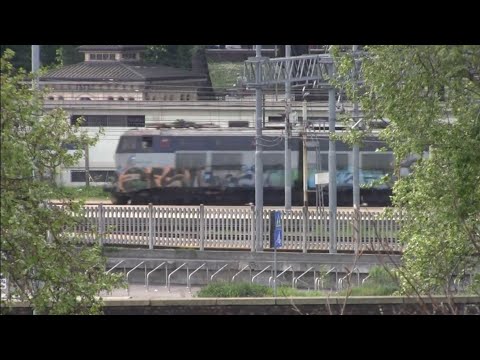 E655 blu/grigio con merci e doppia di ATR125 - Monza 12/04/2014