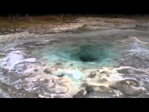 Hooligans in the Sawmill Group, Episode 4