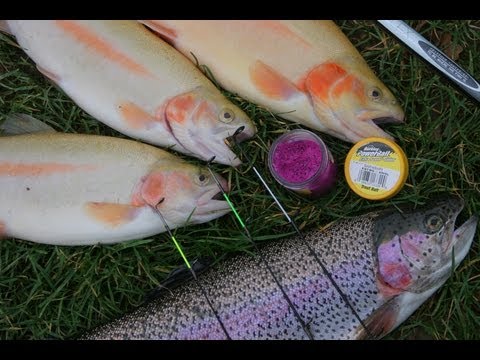 Trout fishing: Successful with the bottom probe [HD] Part 1/2