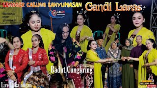 Download lagu SENI CALUNG LENGGER BANYUMASAN CANDI LARAS LIVE PEKALONGAN//VIDEO FULL mp3 Download lagu SENI CALUNG LENGGER BANYUMASAN CANDI LARAS LIVE PEKALONGAN//VIDEO FULL mp3