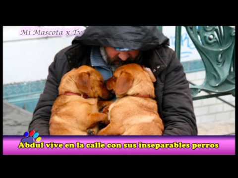 ABDUL, UN HOMBRE QUE VIVE EN LA CALLE CON SUS SIETE PERROS