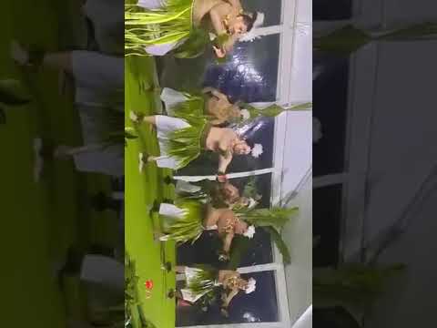 'Anameama Mako (SD&SA)