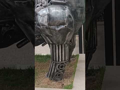 Toro santa margarida minas gerais