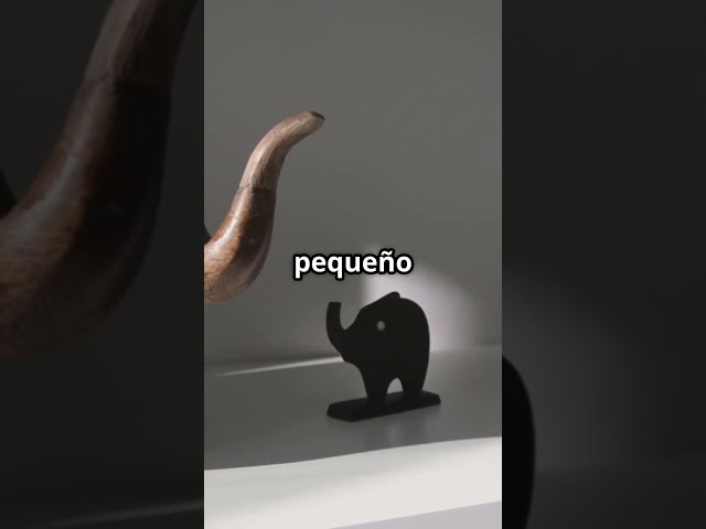 Vídeo relacionado con Good Luck Buena Suerte Moneda de la Suerte con Trébol de Cuatro Hojas y Elefante y Símbolos de la Suerte Moneda Conmemorativa