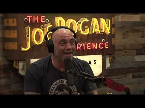 Joe Rogan Experience #1725 - Bridget Phetasy