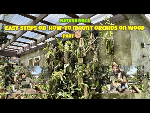 Here is another tutorial on mounting orchids. Easy fun steps that anyone can put together.