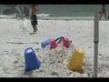 Seagull FRENZY