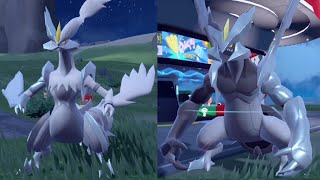 Pokemon Scarlet And Violet How To Get Kyurem Fusion