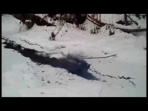 Viper 1 VS Ľad/Viper 1 VS Ice