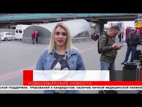 Самокат напрокат: сколько стоит самый популярный транспорт этого лета