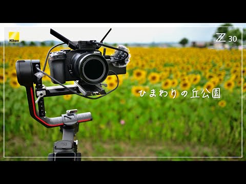 【 VLOG 】Nikon Z30 & DJI RS 3 Pro | ひまわりの丘公園