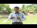 Pon Vilaiyum Bhoomi 02 10 2018 வேளாண் தொழில்நுட்பம் Pangasius 