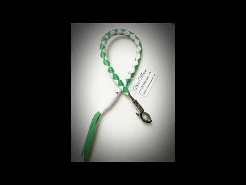 Getback Whip , fouet de guidon US American spirit