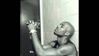 DMX- You Could Be Blind (lyrics)