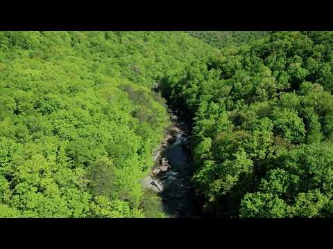 Dark Side of the Moon