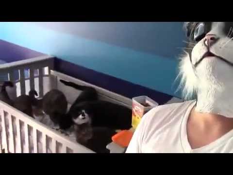 Man in Cat Mask Scares Cats: AWKWARD MOMENT