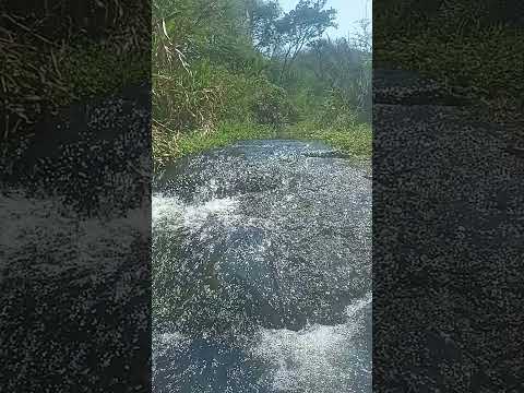 congonhinhas Paraná