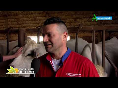 Episode of March 8, 2020 – Part 3 – Coronavirus: Agriculture calls for urgent measures