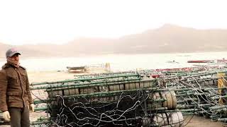 preview picture of video 'Trabalhador pescas iha korea do sul'
