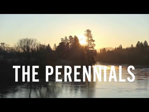 The Perennials: 