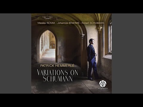 Variations on a Theme by Schumann, Op. 9: Variations 4, 5, 6