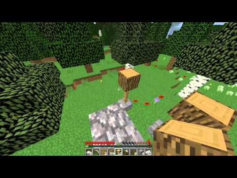 Minecraft: MUMINATUTKA w/Master! Osa 6 - Parveke taloon!