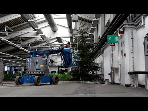 Rotating Tree at Ars Electronica 2017