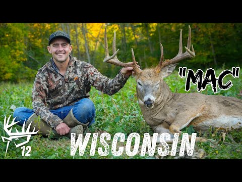 Wisconsin Archery GIANT Whitetail