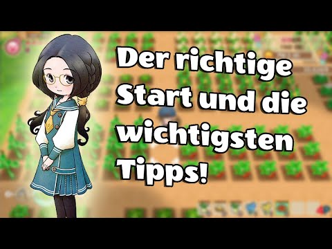 Story of Seasons Friends of Mineral Town - TIPPS UND TRICKS