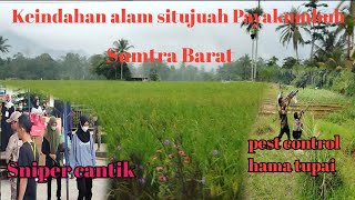 Download lagu 🔴 BERBURU HAMA TUPAI DAPAT HADIAH||SNIPER CANTIK mp3