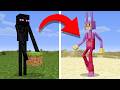 I Remade Every Mob Into Amazing Digital Circus In Minecraft
