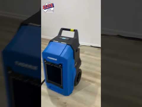 Water Damage - Sewer | Elite