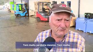 Miniatura do vídeo