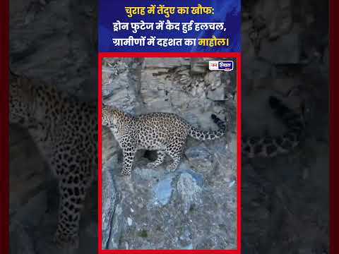 Churah Leopard Issue: गांवों में सुरक्षा की मांग
