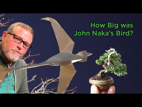 Bonsaify | How Big Was John Naka's Bird? - A 2022 Pacific Bonsai Expo Retrospective
