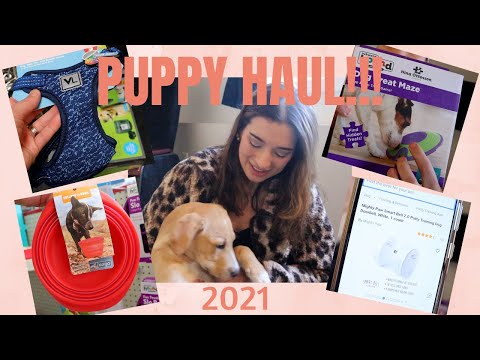 PUPPY HAUL 2021 | I shopped for new goodies and old classics for the new puppy!