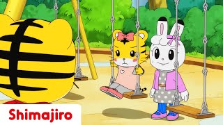 Hannah Wants a Big Sister 😡 Sister & Brother | 24 Minute Compilation |Kids video for Kids| Shimajiro
