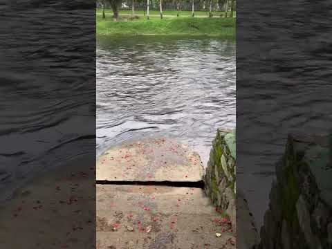 📍Morretes - PR 🇧🇷 #paraná #viagem #brasil