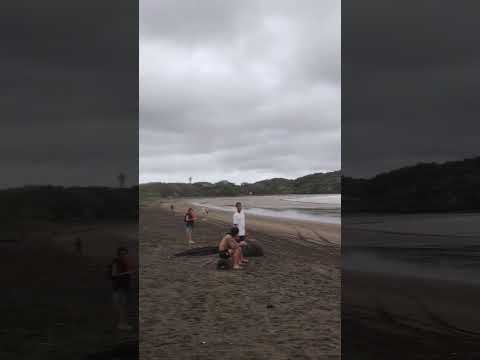 Playa Venao, Pedasi, Los Santos
