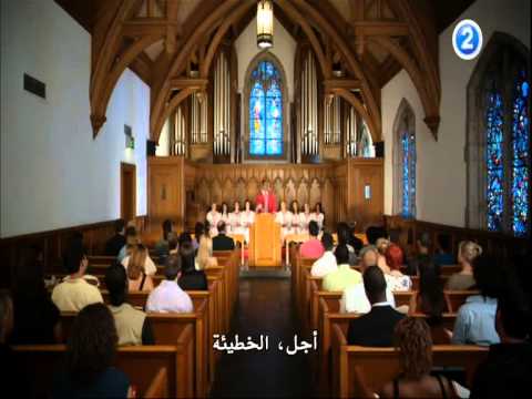 Van Wilder  Freshman Year