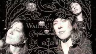 &quot;take it down&quot;  by the wailin&#39; jennys.  video by sherry.