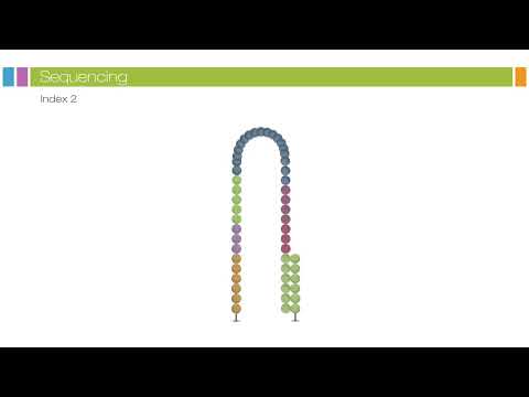 Paired end Sequencing